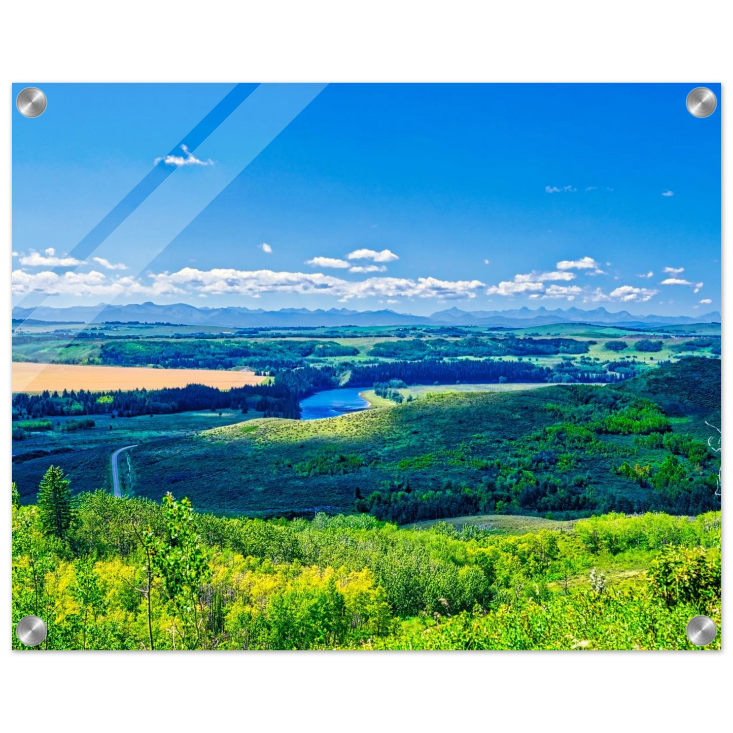 dcf1f0cf-0104-465f-b091-73c7b36935d4