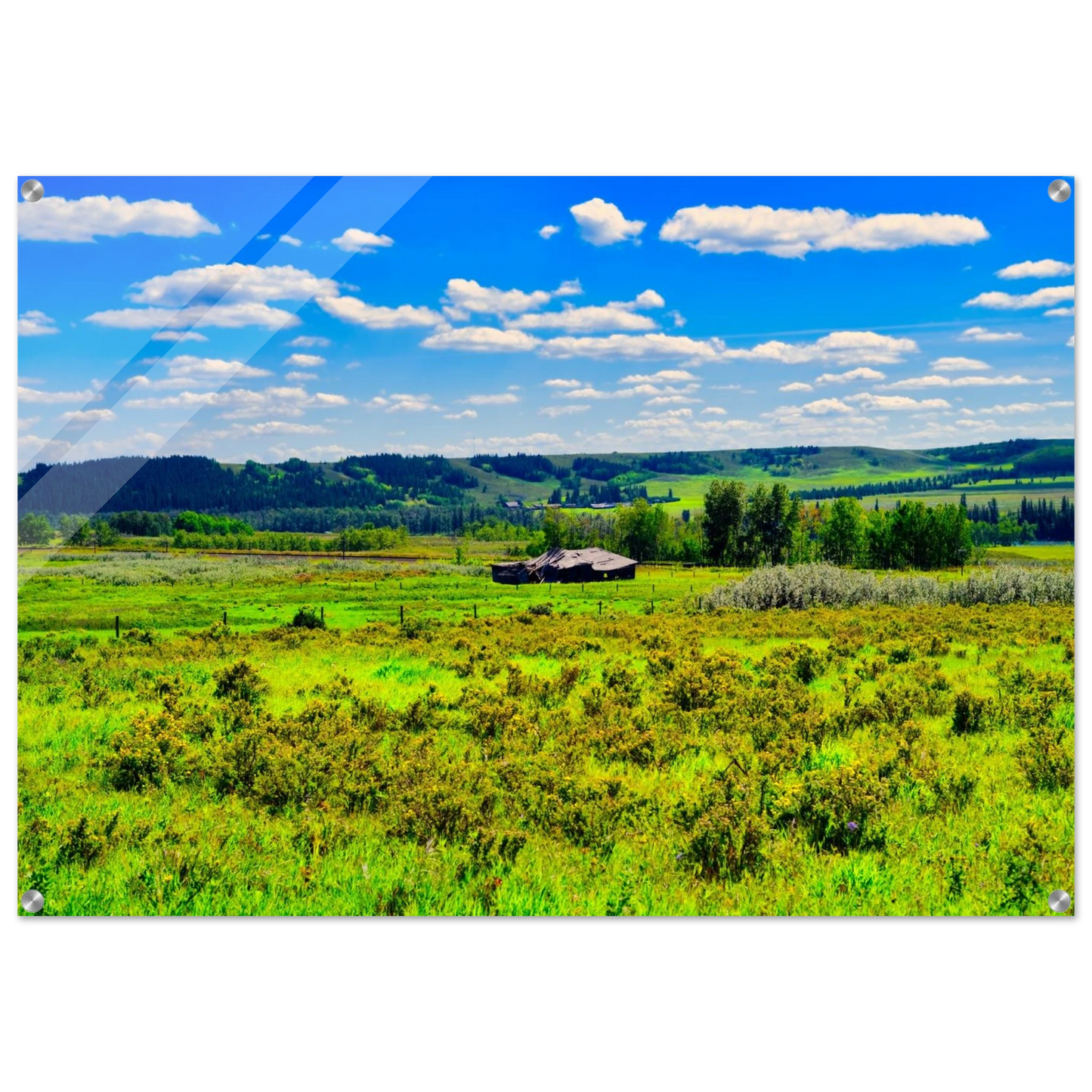 df1796ba-de0a-4be5-bfec-f735440d0133