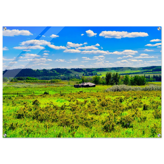 df1796ba-de0a-4be5-bfec-f735440d0133