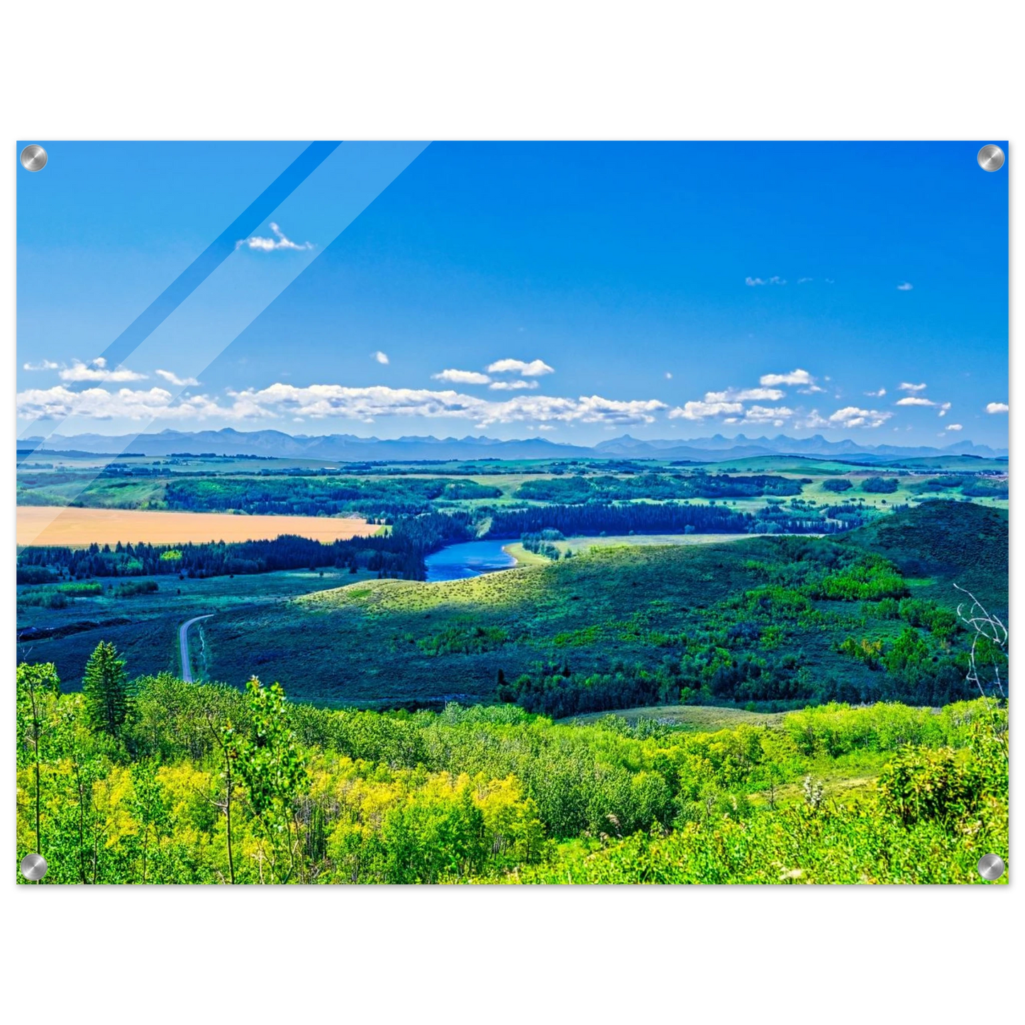 e2a29325-d983-494c-a368-070041397cb3