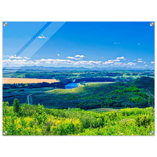 e2a29325-d983-494c-a368-070041397cb3