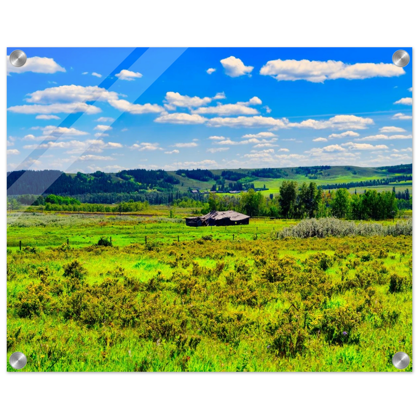 e30f1ca5-d88a-4459-9bd2-98325b8206e7