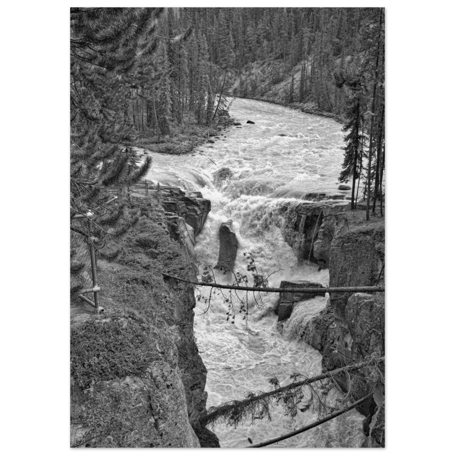 e3aeb5f3-aa25-4c14-9585-d011dfdfa54b