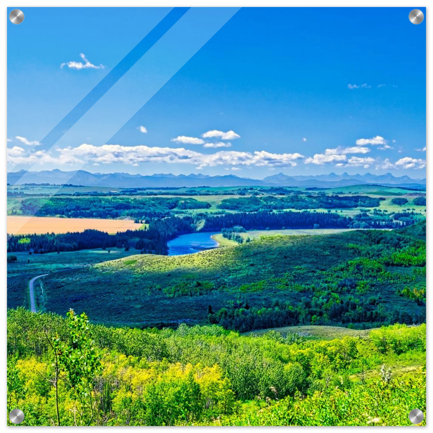 e436ba14-20ee-4863-9d52-315db73ef639