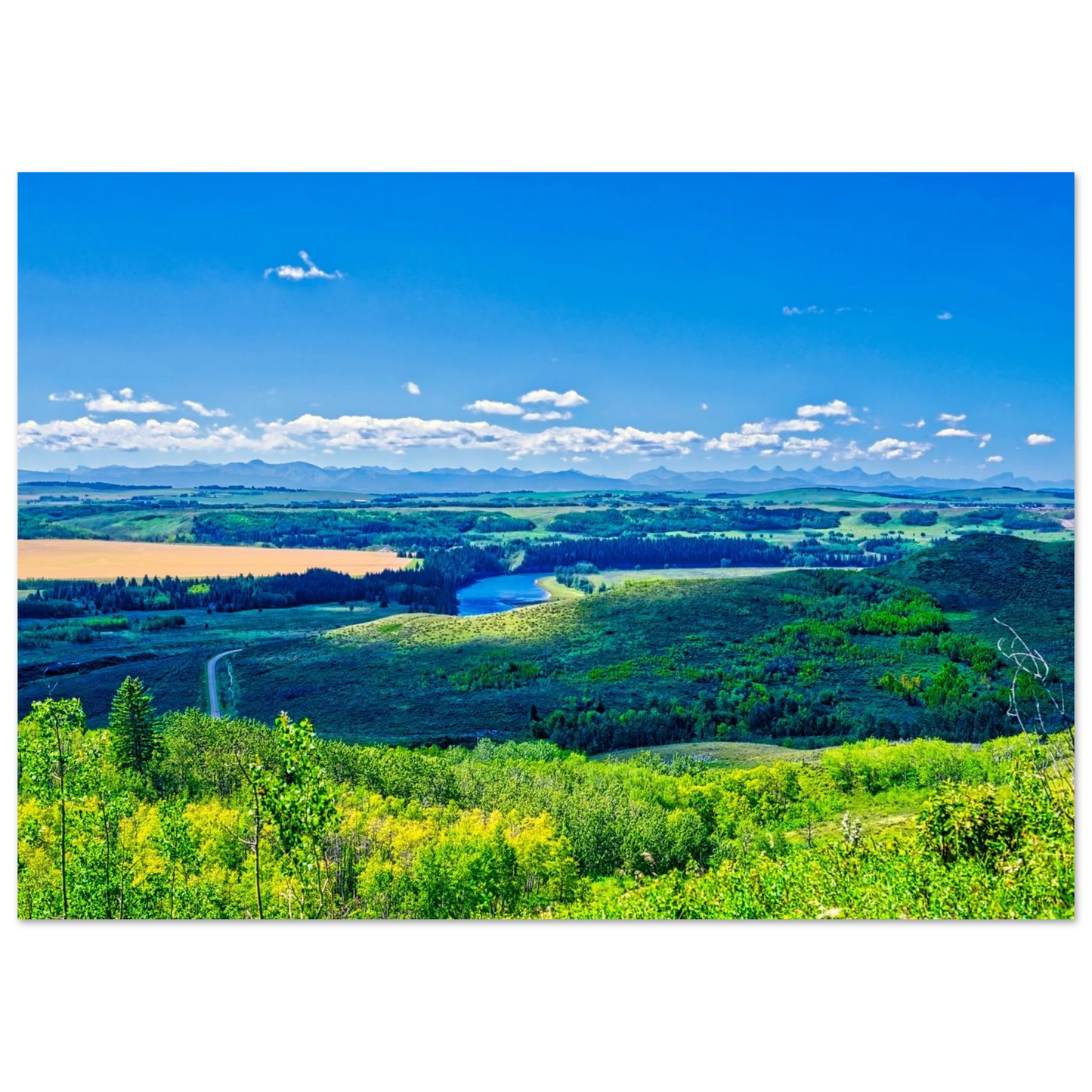 e5ae5593-5735-4604-aefa-f13e8788b17b