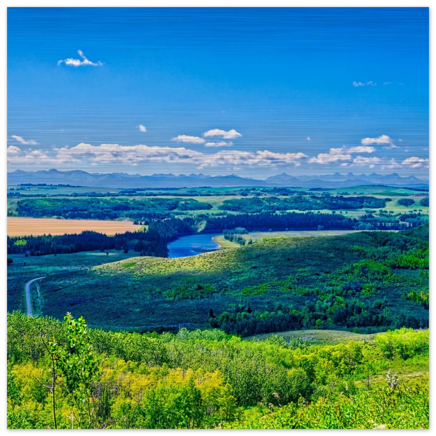 e6248754-8b39-499e-9efa-80fbc1fda5ca