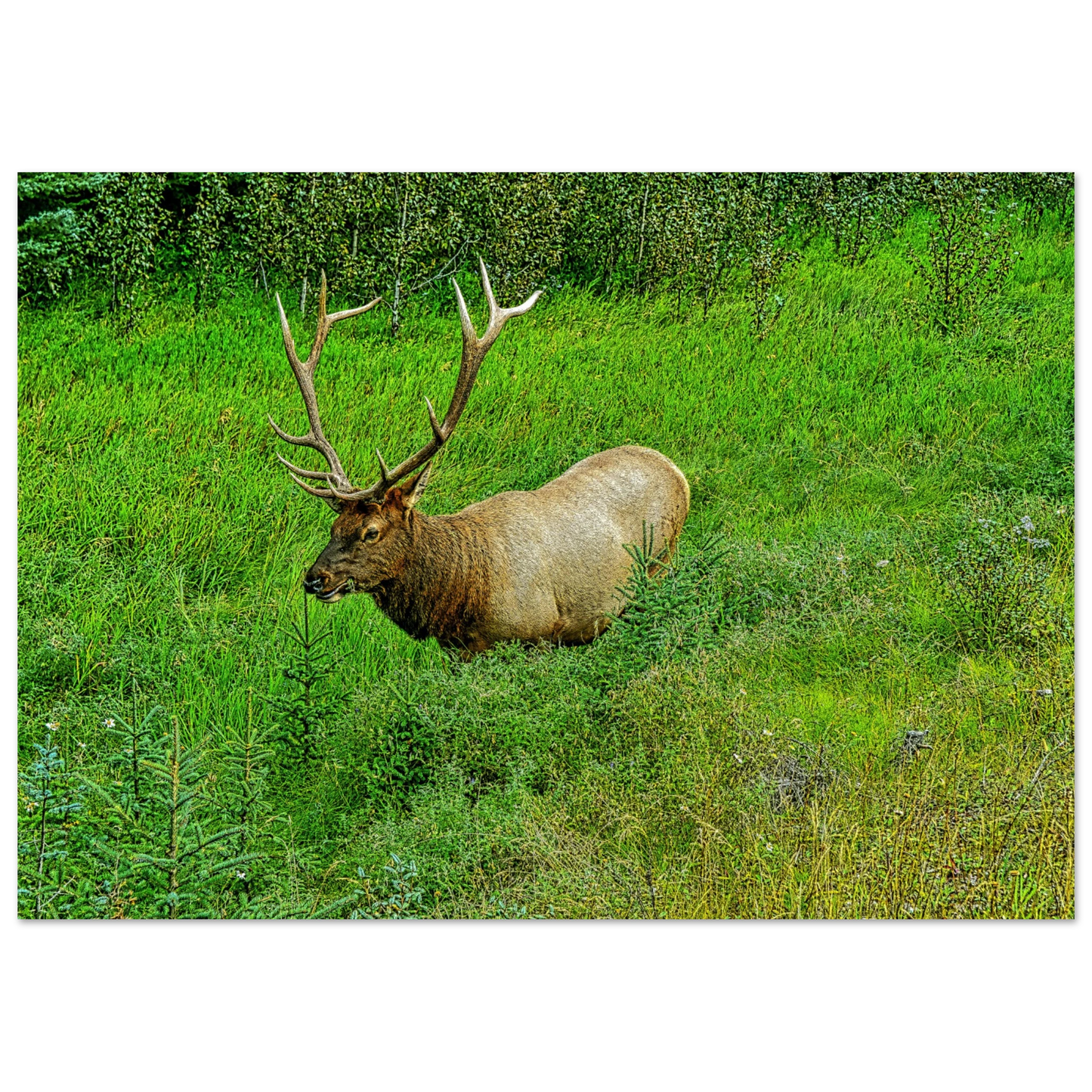 e6485825-5d6d-4c03-8af7-6fdd2fa6f805