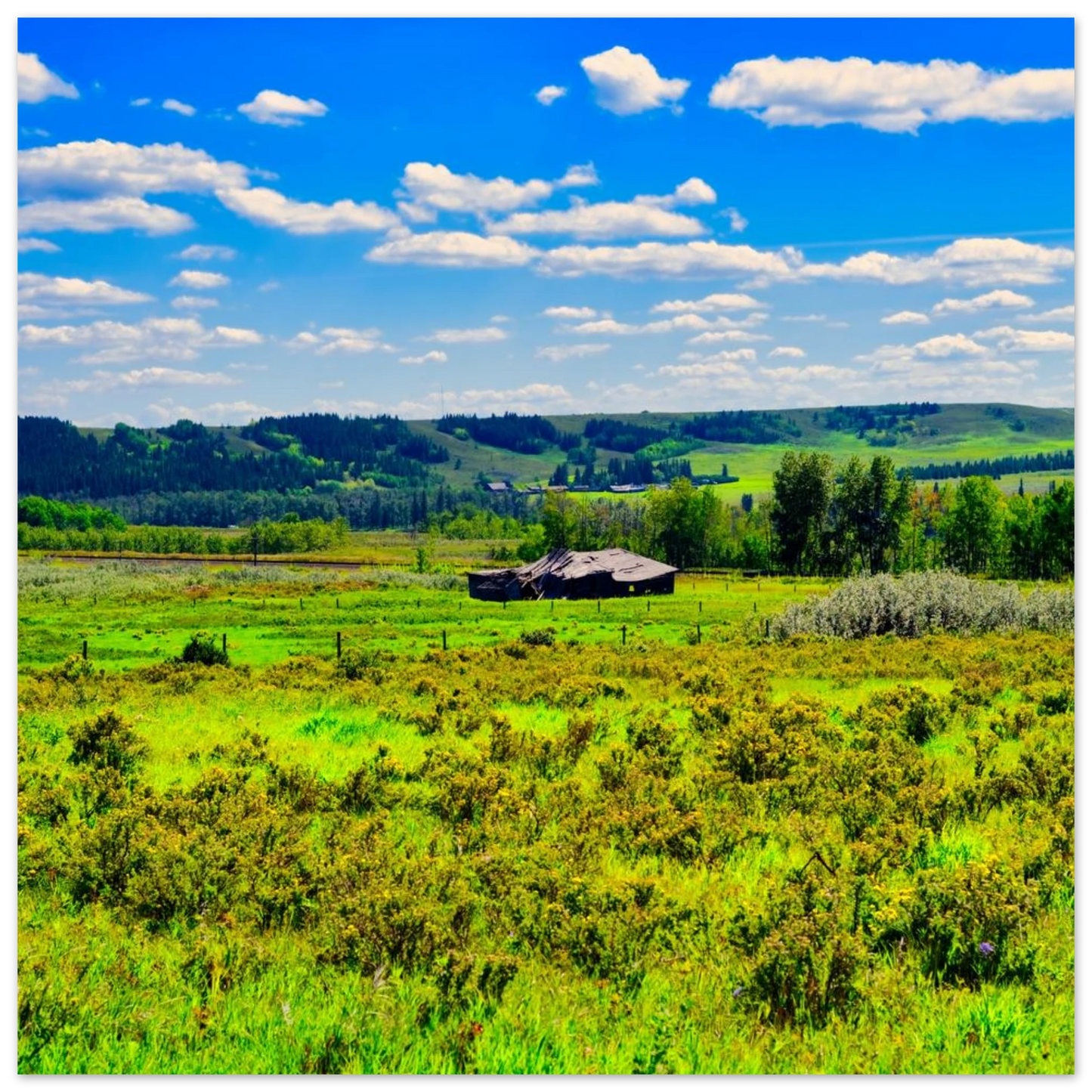 eb8478e6-4346-484c-b1bb-cff4dd14c564