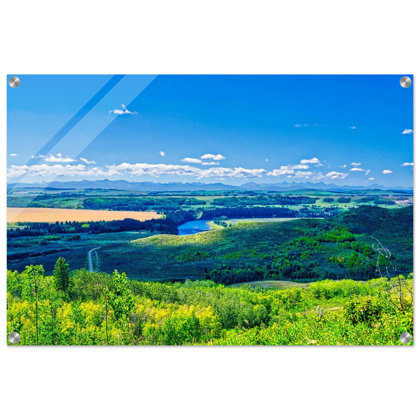 ef788a78-04da-4cfa-8dc8-b233ecb4c502