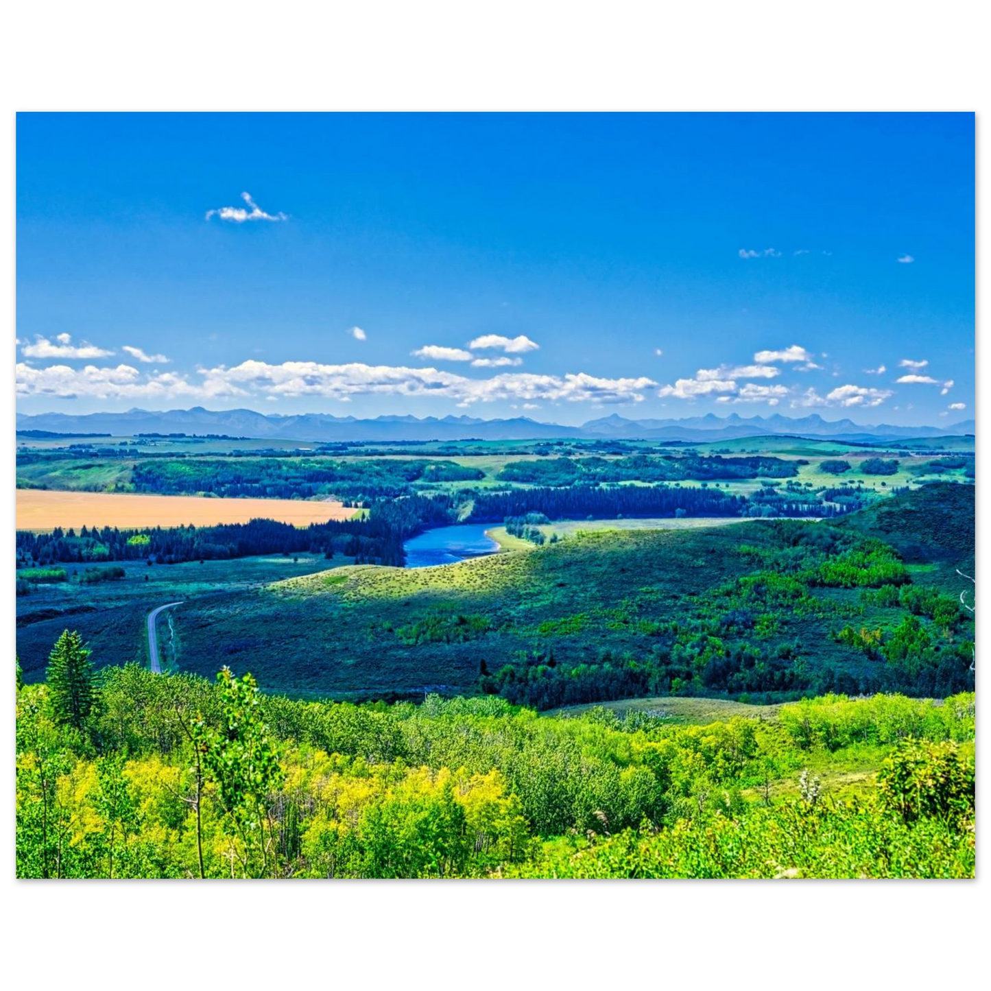 f32a41d4-dc4a-4098-844a-20572ed930ca