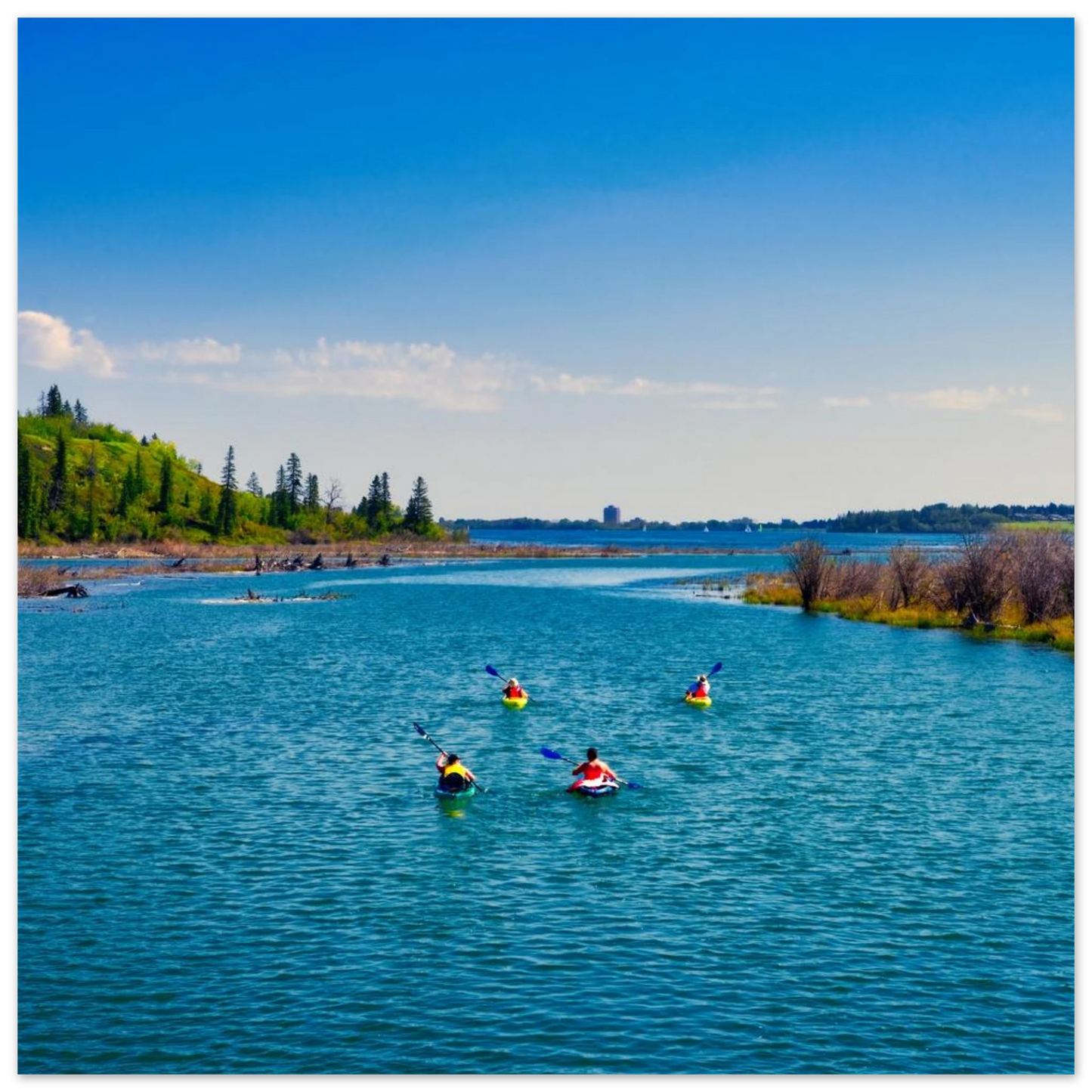 f604ba40-cfea-446f-9c51-81218b9409cc