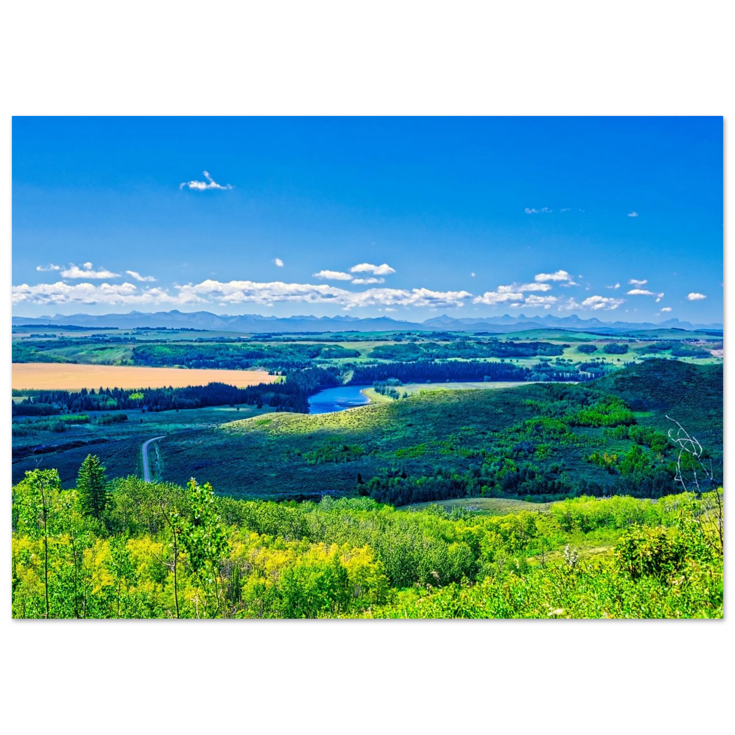 f63da52f-1fb5-4e76-ad84-d10a88cc4fae