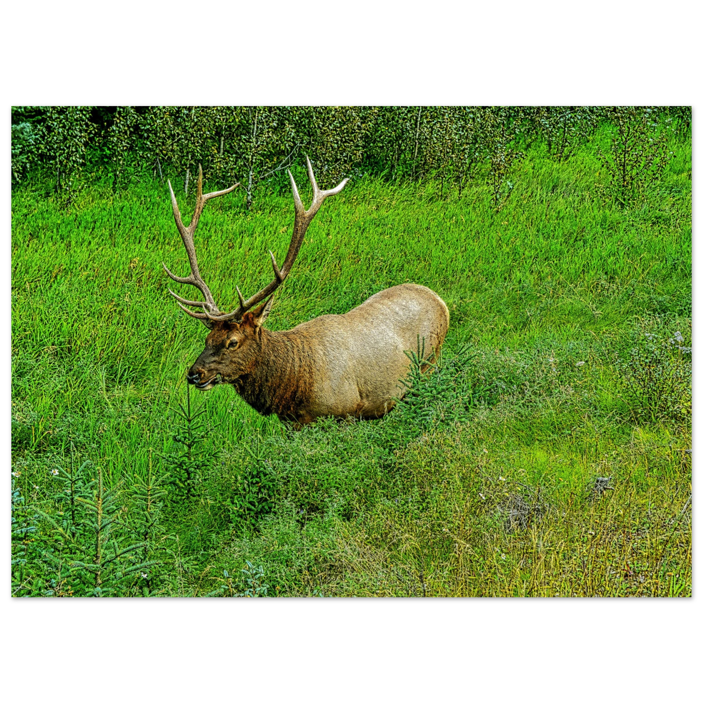 f6d5e1b7-6423-4640-b11a-bd0445ffe654