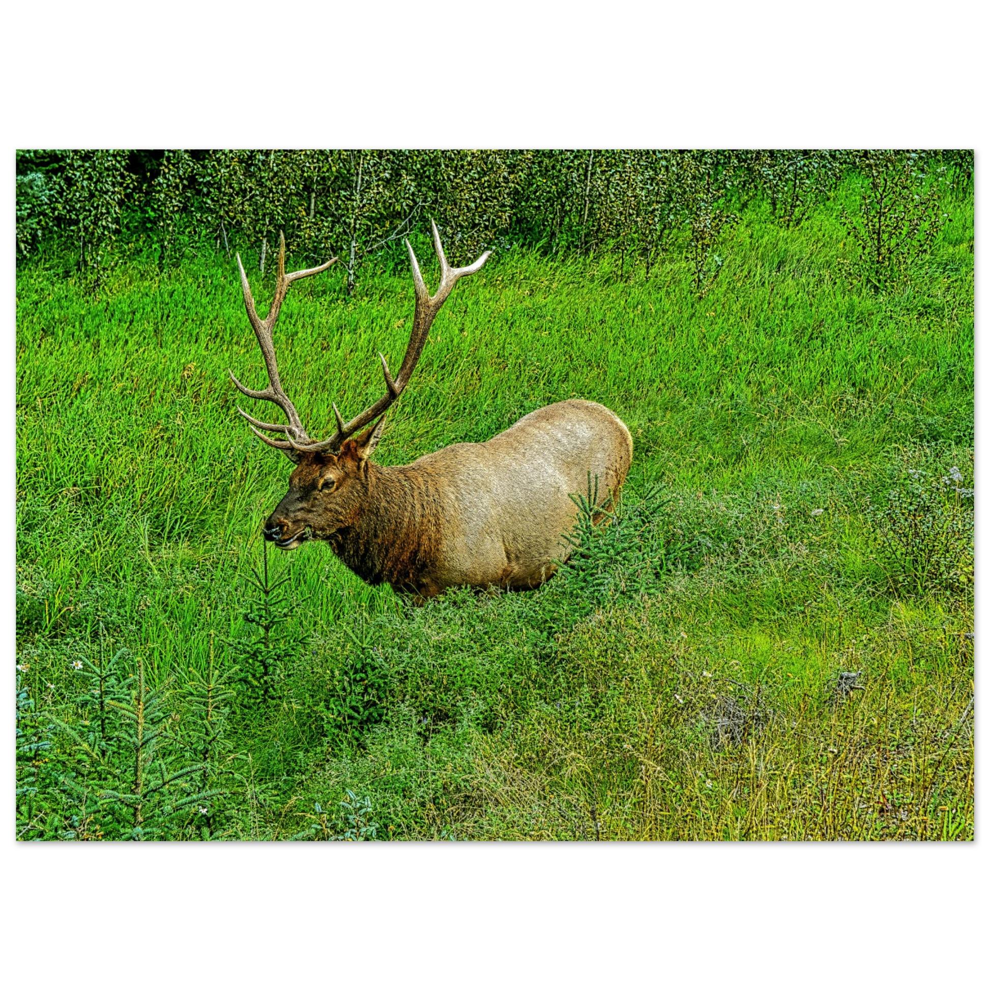 f6d5e1b7-6423-4640-b11a-bd0445ffe654