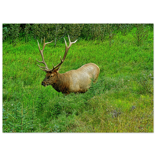 f6d5e1b7-6423-4640-b11a-bd0445ffe654