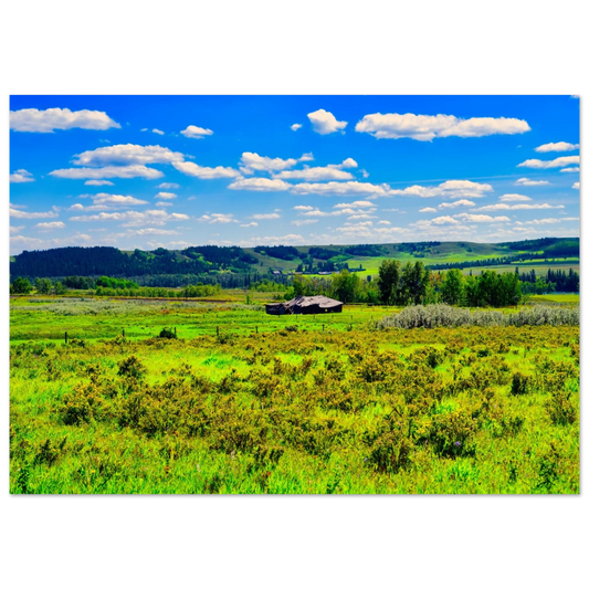 f724f411-781a-49e0-b60f-fab0ddd5859f