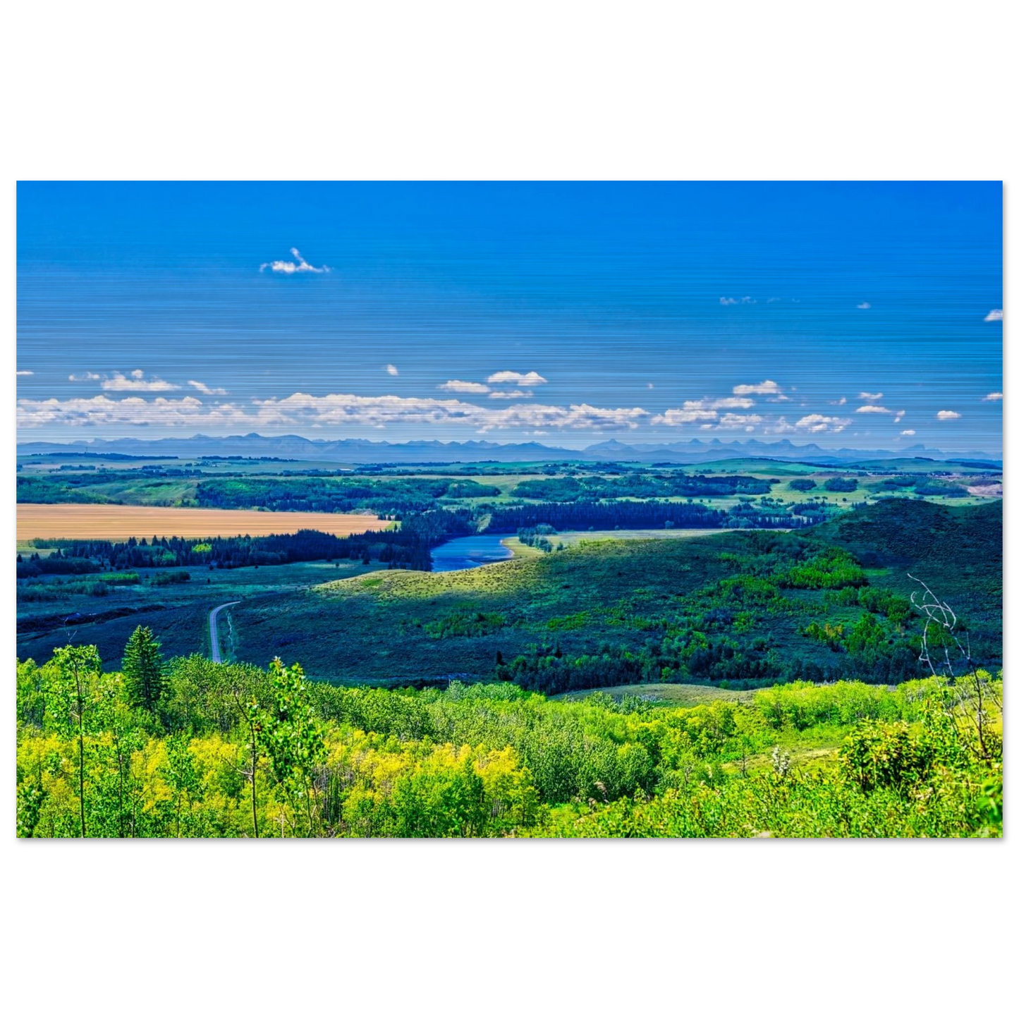 f7e117f9-92c6-43ac-865d-3d3f24325b6d