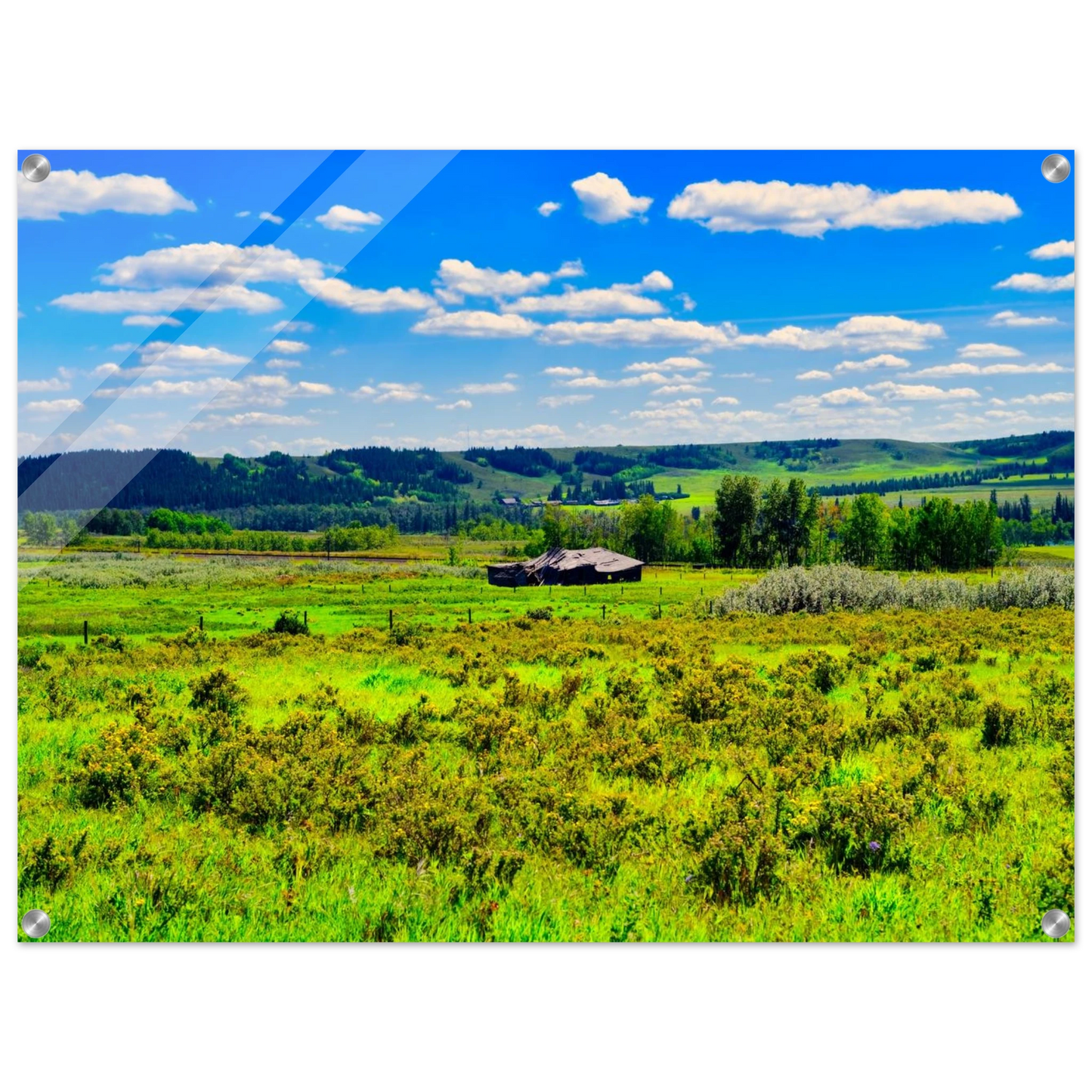 f8d642a9-2cc7-496e-a2b5-9e777018b366