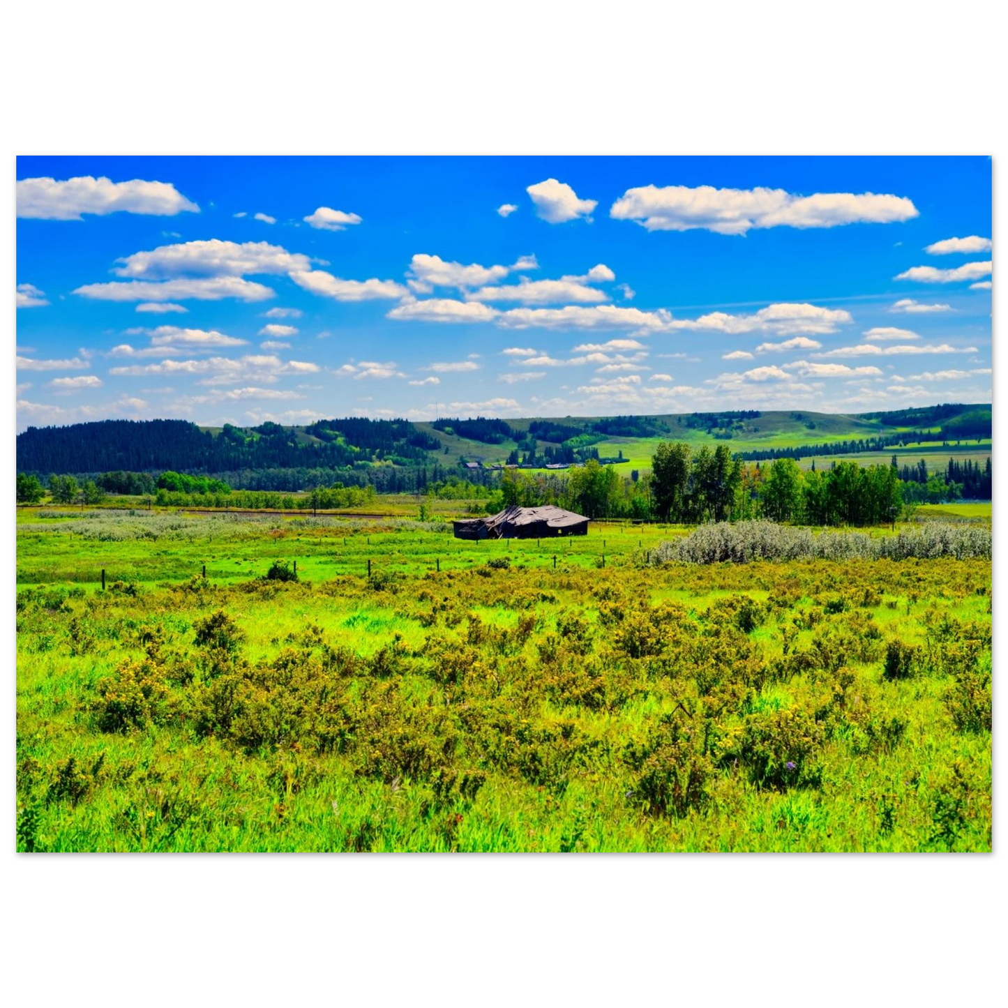 fc3c38ba-f540-4b27-9489-1e4bd4abcc1b