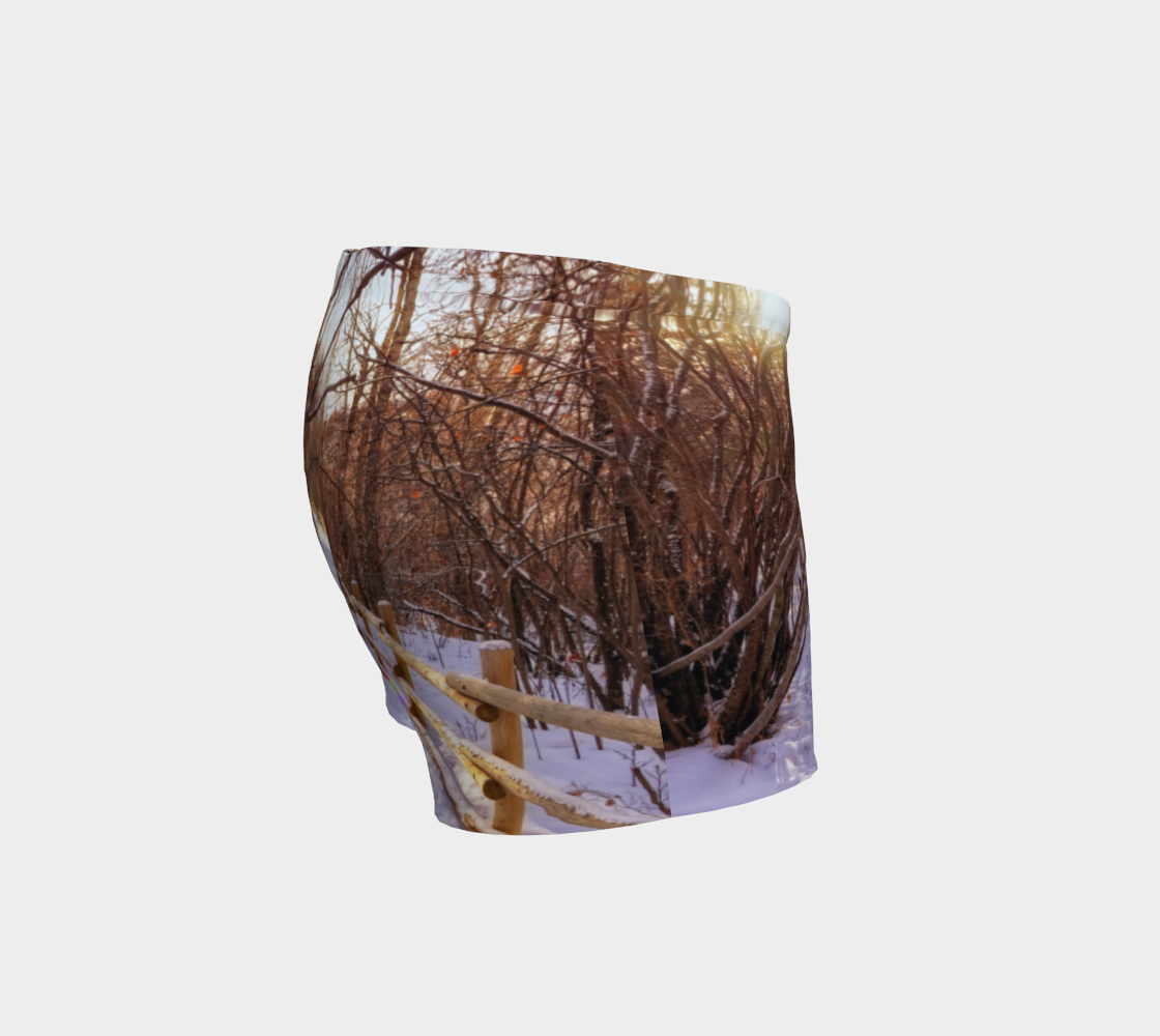 Women's Shorts - Riverdale Park Forest Winter