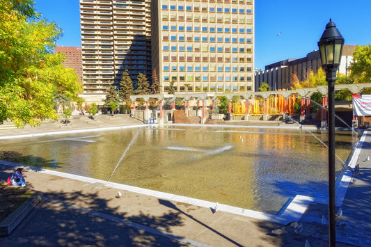 Olympic Plaza Fall Colours 2 Digital Download