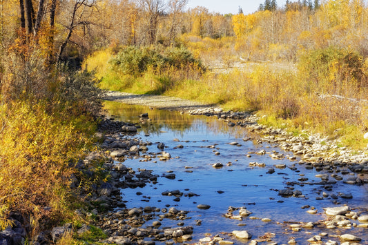 Fish Creek in the Fall Digital Download