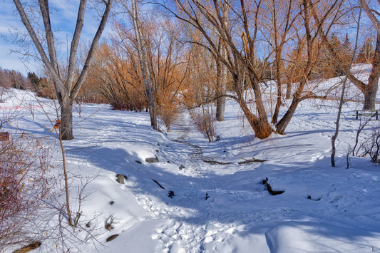 Confederation Creek Winter HDR Digital Download