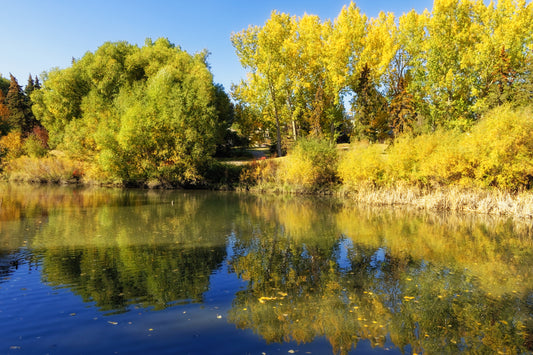 Confederation Park Pond Fall Digital Download