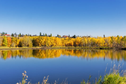 Fish Creek Park Votier's Flats Pond in the Fall Digital Download