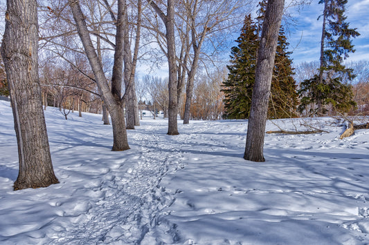 Confederation Park Winter HDR Digital Download
