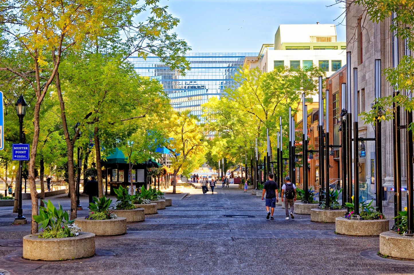Fall Colours Olympic Plaza Arts Commons Digital Download