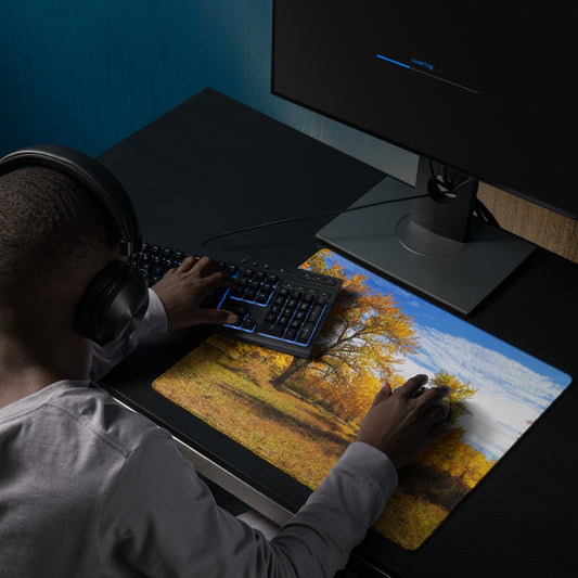 Gaming Mouse Pad - Carburn Park Fall Colours
